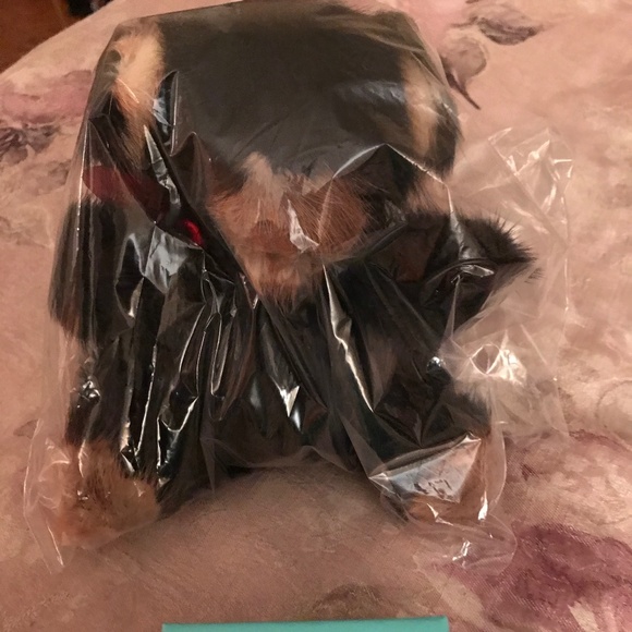 Mink Bear (Rare Bear) (Birthday)(Valentines Day) - Picture 2 of 3